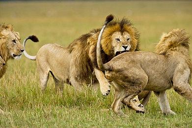 师傅，你是做什么工作的：《装机模拟器》团队新作《The Repair House》将于2023推出